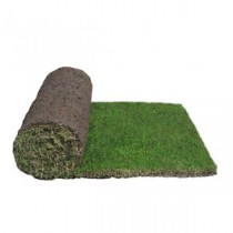 Real Turf