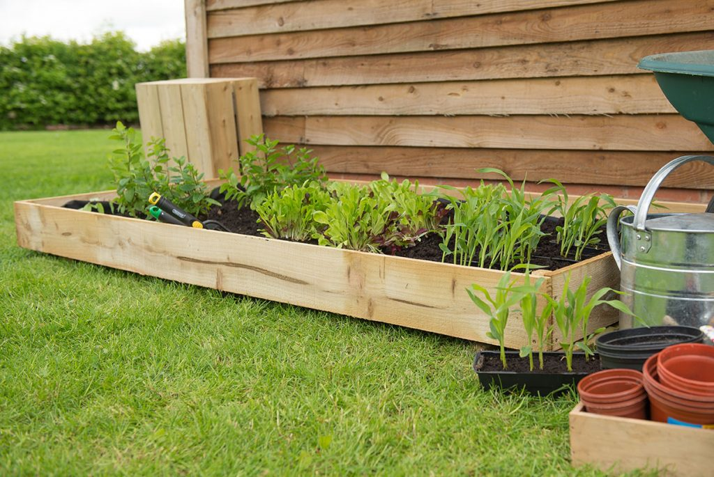 Forest Garden DTS Standard Raised Bed 
