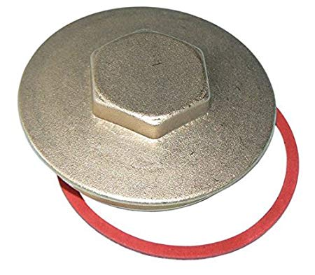 2 1/4" Immersion Plug & Washer