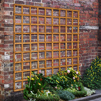 Forest Garden DTS Heavy Duty Trellis - 183 x 183cm - Pack of 6 