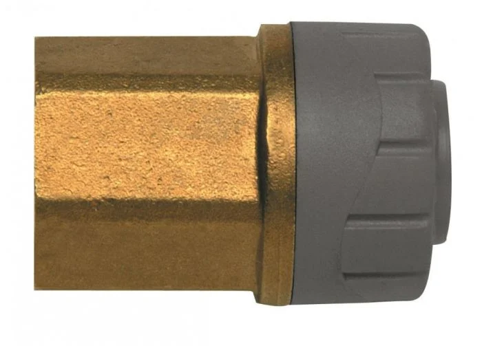 Polyplumb 22mm x 3/4 Female Iron Straight Connector 