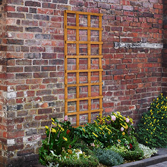 Forest Garden DTS Heavy Duty Trellis - 183 x 61cm - Pack of 6 