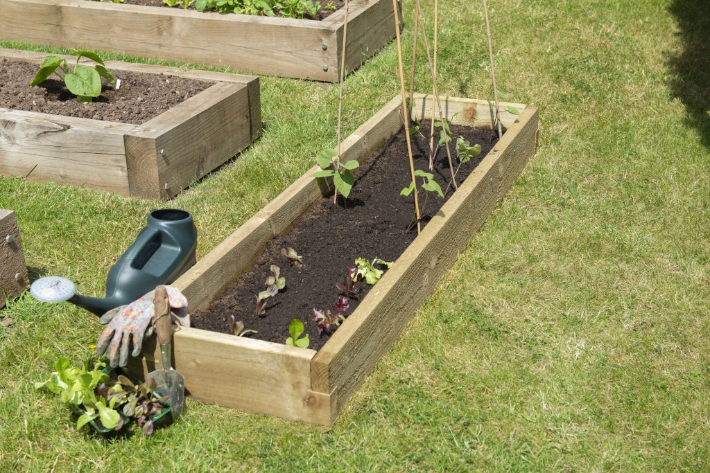 Forest Garden DTS Caledonian Long Raised Bed - 45 x 180cm 