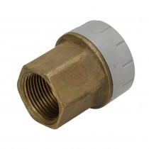 Polyplumb 15mm x 3/4 Female Iron Straight Connector 