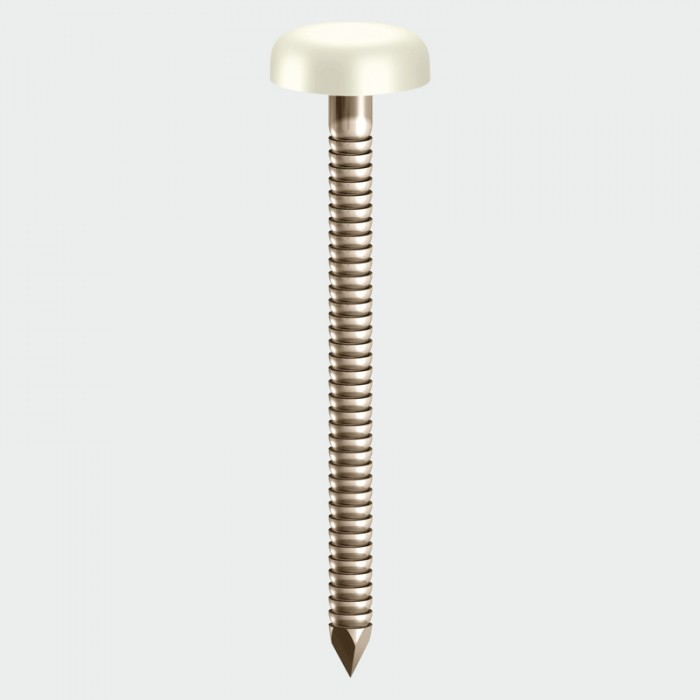 65mm White Poly Plastic Headed Stainless Steel Fixing Pins (Box of 100)