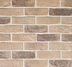TBS St Andrews Multi Brick