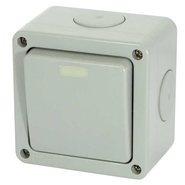 Selectric Seal IP66 Rated 10A Outdoor Weather Rated Plate Switch - 1 Gang 2 Way